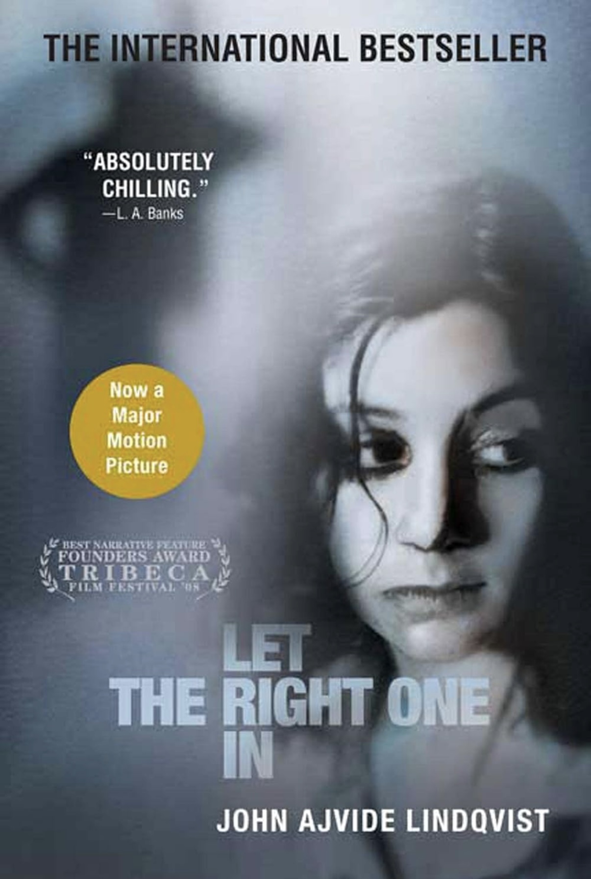 Let The Right One In is a beautifully chilling vampire horror book.